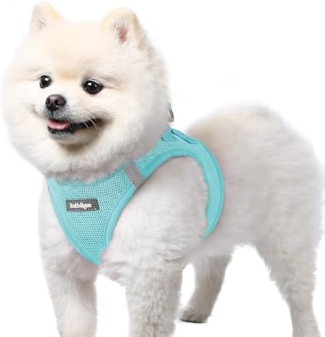 rabbitgoo Step-in Small Dog Harness, Puppy Vest by rabbitgoo