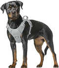BARKBAY No Pull Dog Harness Large Reflective Dog Harness by BARKBAY