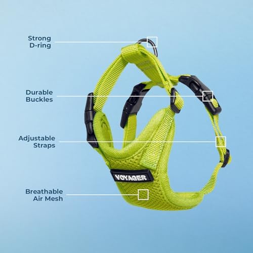 Voyager Step-in Lock Dog Harness - Image 4