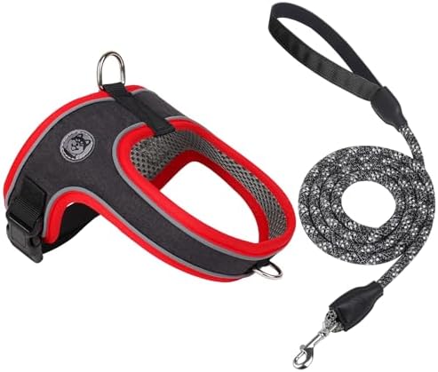 Dog Harness and Leash Set, No Pull Saddle Style Pet Harness, Breathable Mesh by Mengbeitribe