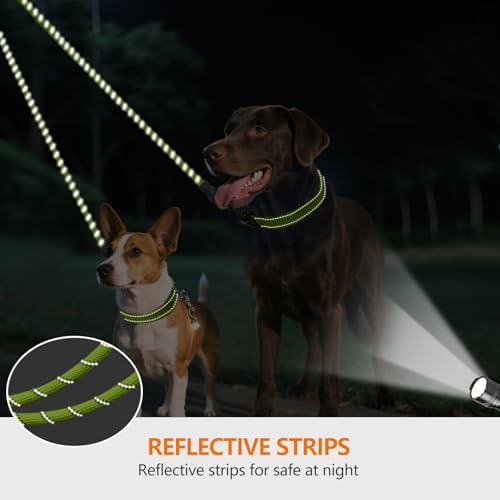 Taglory Double Dog Leash Coupler - Image 4
