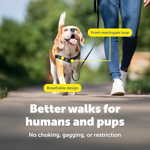 PetSafe Easy Walk Harness, No Pull Dog Harness, Small/Medium - Image 5