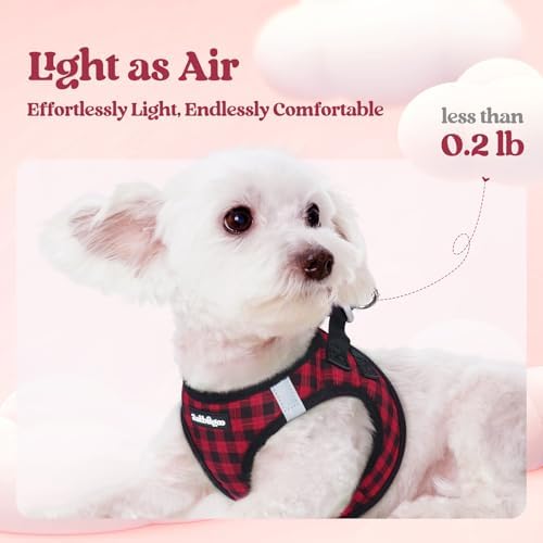 rabbitgoo Dog Harness Small Sized and Leash Set, Step-in Puppy Pet Vest - Image 3