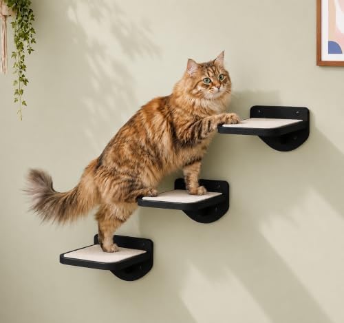 Cat Wall Shelves by LAMOOSHIK