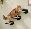 Cat Wall Shelves by LAMOOSHIK