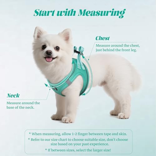 No Pull Dog Puppy Harness and Leash Set Reflective Mesh Vest Large - Image 2