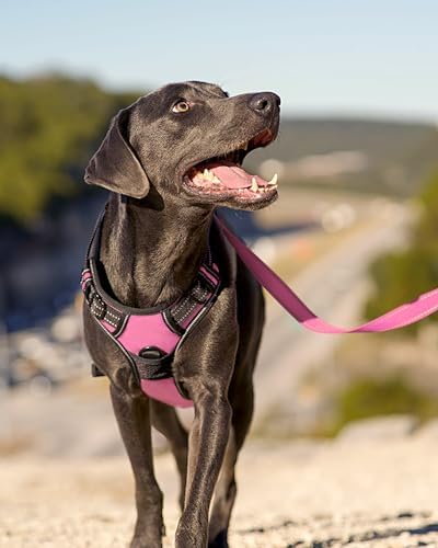 Joytale No Pull Dog Harness for Large Dogs, Front Clip - Image 6