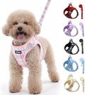 AIITLE Step in Dog Harness and Leash Set Plaid Adjustable by AIITLE-FORPETSBETTERLIFE