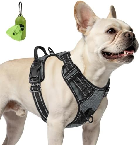 Joytale No Pull Dog Harness for Small Dogs, Front Clip by Joytale