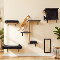 5 in 1 Cat Wall Shelves Climbing System by Unknown