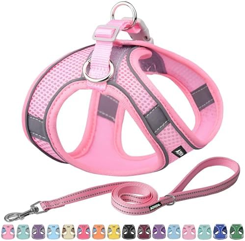 AIITLE Dog Harness and Leash Set, Step-in Puppy Pet Vest, Pure Pink XL by AIITLE-FORPETSBETTERLIFE