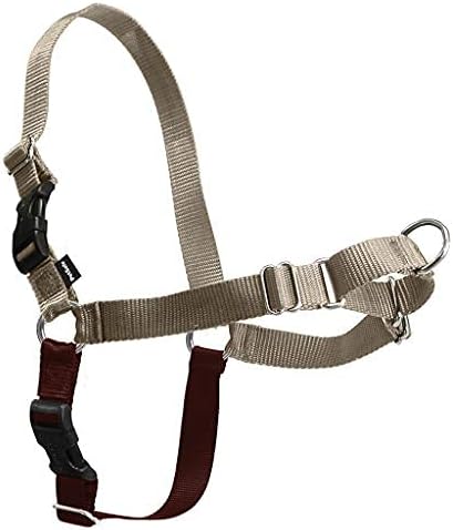 PetSafe Easy Walk Harness, No Pull Dog Harness - Image 4
