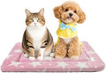 Dog Bed Mat – Soft & Comfortable Dog Kennel Pad by %E7%AB%8B%E5%8D%B3%E8%B4%AD%E4%B9%B0