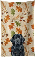 Caroline's Treasures Newfoundland Dogs Kitchen Towel 15x25 in by CarolinesTreasures