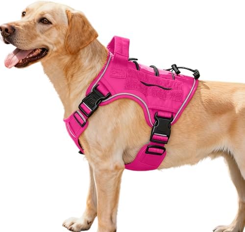 Heavy-Duty Tactical Dog Harness by Bruvoalon