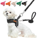 BEAUTYZOO Small Dog Harness and Leash Set, No Pull Step in Puppy Vest by BEAUTYZOO