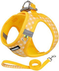 AIITLE Step in Small Dog Harness and Leash Set, Puppy Pet Vest by AIITLE-FORPETSBETTERLIFE