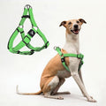 Kruz No Pull Dog Harness Heavy-Duty Pet Harness by KRUZPET