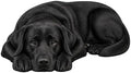 3D Realistic Dog Shaped Bath Mat & Floor Rug by MOFABIA