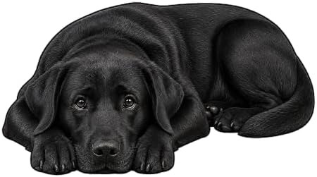 3D Realistic Dog Shaped Bath Mat & Floor Rug by MOFABIA