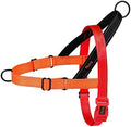 Didog No Pull Dog Harness for Large Dogs, Soft Padded Handle by Didog