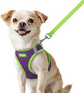 rabbitgoo Dog Harness Small Sized and Leash Set, Step in Soft Vest by rabbitgoo