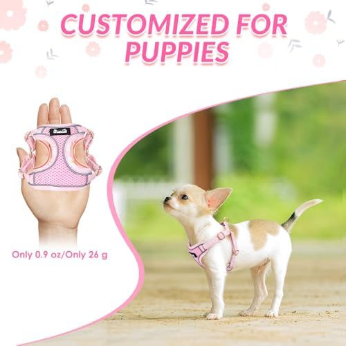 Lukovee Small Dog Harness and Leash Set, No Pull Lightweight Soft Mesh Vest - Image 2