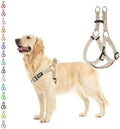 PUPTECK No Pull Dog Harness Medium Sized Step-in Adjustable Puppy Vest by PUPTECK