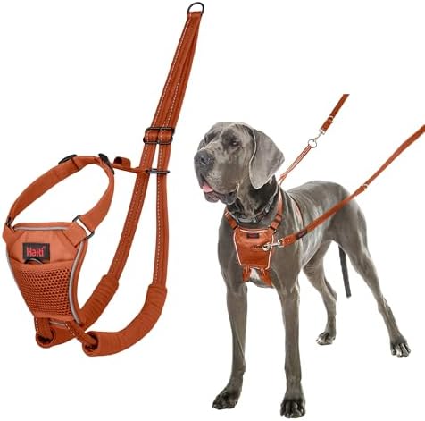 Halti No Pull Dog Harness | Size L, Burnt Orange by Halti