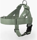 Dog Friendly Co. Dog Harness for Small Dogs, Adjustable by DogFriendly