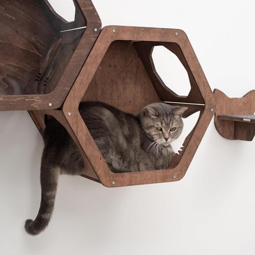 Wall Cat Shelves Wood Shelves Furniture - Image 5