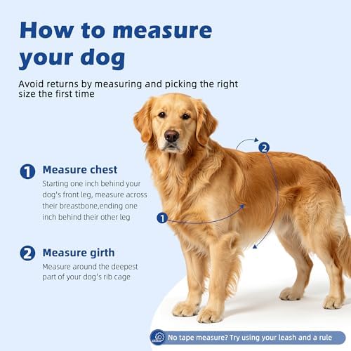 No Pull Dog Harness, Upgraded Padded No-Choke Pet Vest - Image 4