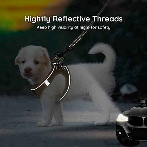 BELLA & PAL Step in Puppy Harness and Leash Set - Image 4