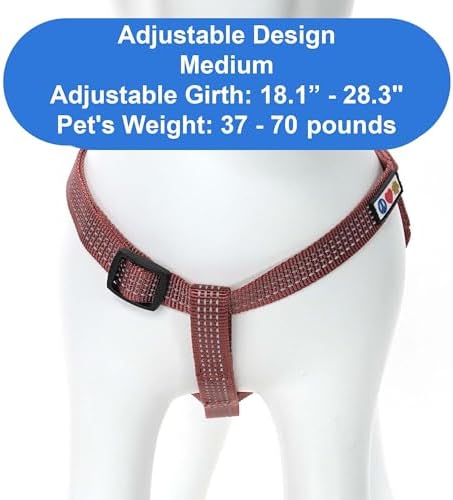Pawtitas Reflective Step-in Dog Harness – Adjustable No-Pull Vest - Image 3