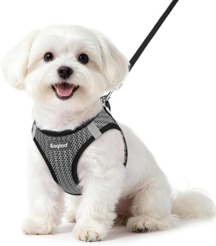 Eagloo Small Dog Harness and Leash Set, Step in Small Sized Puppy Pet Vest by GoExplorewithEagloo