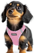 rabbitgoo Step-in Small Dog Harness, Puppy Vest by rabbitgoo