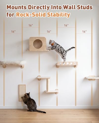 6-in-1 Cat Wall Shelves for Large Cats, Large Cat Bed, Wide Perch - Image 4