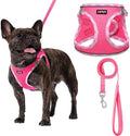 AMTOR Small Dog Harness with Leash Set, No Escape Easy Walk Puppy Harnesses by AMTOR