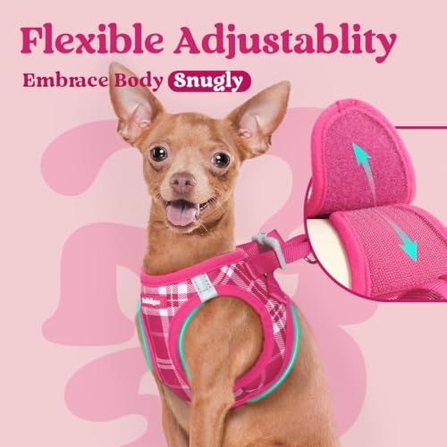 rabbitgoo Step-in Small Dog Harness, Puppy Vest - Image 6