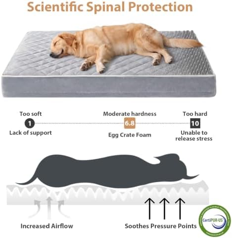WNPETHOME Orthopedic Giant Human Dog Beds - Image 4
