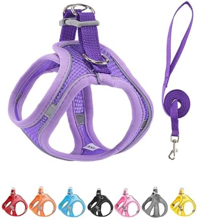 S Purple Soft Mesh Dog Harness and Leash Set, No Escape Puppy Harnesses by Unknown