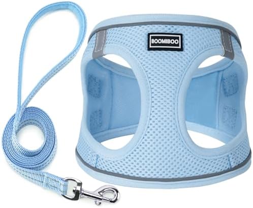 Dog Harness with Leash Set, Step-in Adjustable Puppy Pet Vest, Sky Blue M by BOOMIBOO
