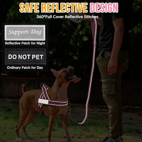 Lukovee No Pull Dog Harness and Leash Set, Soft Padded - Image 6