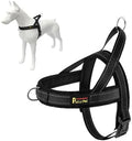 Plutus Pet No Pull Dog Harness for Small Dogs, Breathable Mesh Padded by PLUTUSPET