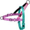 Didog No Pull Dog Harness for Medium Dogs, Soft Padded Handle, Dark Green by Didog