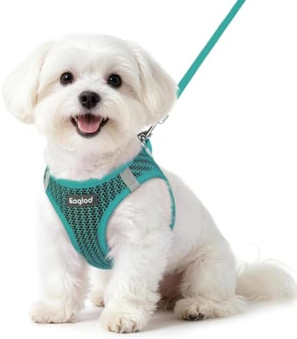 Eagloo Small Dog Harness and Leash Set, Step in Small Sized Puppy Pet Vest by GoExplorewithEagloo