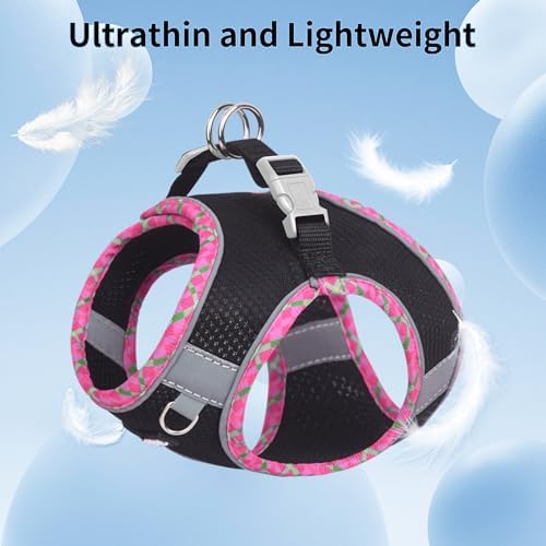 AIITLE Step in Dog Harness & Leash Set - Image 4