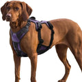 AUROTH Escape Proof Dog Harness by AurothPets