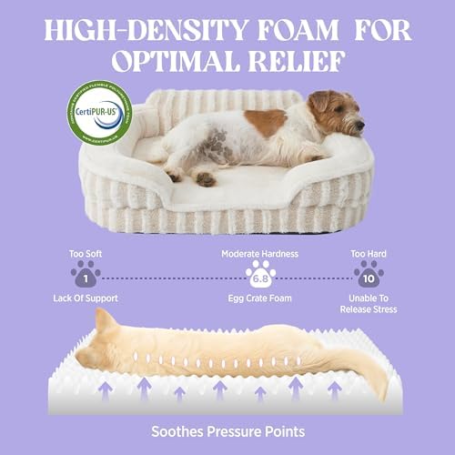 LE SURE Cute Cozy High Back Orthopedic Dog Beds Medium Size Dog - Image 4