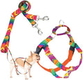 2 Hounds Design by 2HoundsDesign
